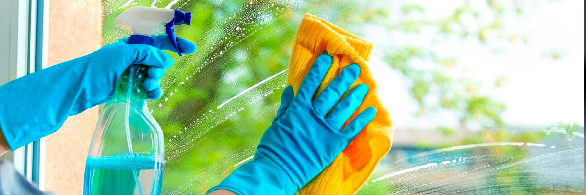 Cleaning Windows